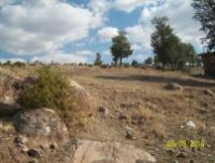 Konya Seydişehir Dikilitaş Köyü Milli Emlak'tan Satılık 2.114,00 m2 Tarla