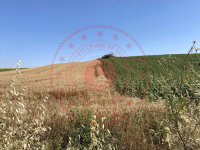Edirne Uzunköprü Turnacı Köyü Milli Emlak'tan Satılık 4.984,80 m2 Tarla