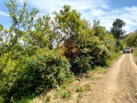 Bursa Keles Issızören Mahallesi Milli Emlak'tan Satılık 3.641,08 m2 Tarla