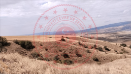 Çorum Merkez Sarmaşa Köyü Milli Emlak'tan Satılık 7.217,10 m2 Tarla