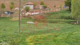 Çorum Merkez Güzelyurt Köyü Milli Emlak'tan Satılık 1.714,20 m2 Tarla