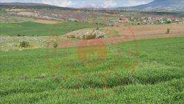 Çorum Merkez Güzelyurt Köyü Milli Emlak'tan Satılık 2.203,31 m2 Tarla