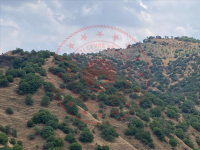 Aydın Germencik Çarıklar Köyü Milli Emlak'tan Satılık 26.039,60 m2 Tarla