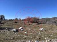 Denizli Tavas Derinkuyu Köyü Milli Emlak'tan Satılık 2.720,40 m2 Tarla