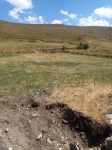 Erzurum İspir Güney Köyü Milli Emlak'tan Satılık 1.174,71 m2 Tarla