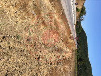 Çanakkale Çan Okçular Köyü Milli Emlak'tan Satılık 370,76 m2 Tarla