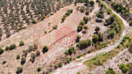 Balıkesir Havran Köylüce Köyü Milli Emlak'tan Satılık 8.505,38 m2 Tarla