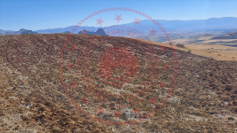 Erzincan Tercan Aktaş Köyü Milli Emlak'tan Satılık 11.586,19 m2 Tarla