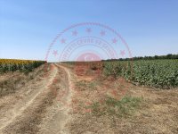 Edirne Uzunköprü Turnacı Köyü Milli Emlak'tan Satılık 1.107,85 m2 Tarla