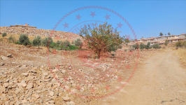 Kahramanmaraş Türkoğlu Kılılı Mahallesi Milli Emlak'tan Satılık 513,22 m2 Tarla