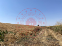 Edirne Uzunköprü Turnacı Köyü Milli Emlak'tan Satılık 6.535,86 m2 Tarla