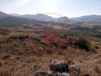 Malatya Akçadağ Esenbey Milli Emlak'tan Satılık 41.462,30 m2 Tarla