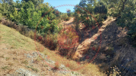 Tokat Zile Uzunöz Köyü Milli Emlak'tan Satılık 565,54 m2 Tarla