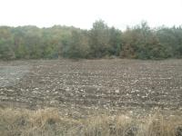 Amasya Merkez Akyazı Köyü Milli Emlak'tan Satılık 5.829,12 m2 Tarla