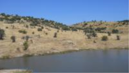 Ankara Çamlıdere Beyler Mahallesi Milli Emlak'tan Satılık 8.325,00 m2 Arsa