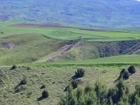 Amasya Merkez Çavuş Köyü Milli Emlak'tan Satılık 77.247,80 m2 Tarla