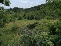 Kocaeli Gölcük Saraylı - Şirinköy Milli Emlak'tan Satılık 2.375,86 m2 Arsa