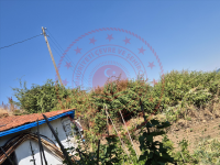 Aydın Kuyucak Sarıcaova Köyü Milli Emlak'tan Satılık 150,19 m2 Tarla