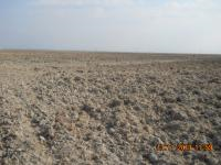 Niğde Bor Seslikaya Köyü Milli Emlak'tan Satılık 6.895,65 m2 Tarla