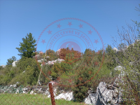 Antalya Akseki Mahmutlu Köyü Milli Emlak'tan Satılık 3.092,95 m2 Tarla