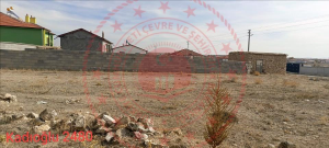 Konya Sarayönü Kadıoğlu Kasabası Milli Emlak'tan Satılık 257,74 m2 Tarla