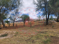 Konya Hüyük Görünmez Köyü Milli Emlak'tan Satılık 275,54 m2 Tarla