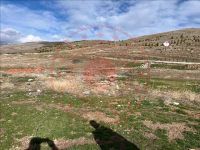 Afyonkarahisar Dinar Çiçektepe - Atatürk Mahallesi Milli Emlak'tan Satılık 508,16 m2 Tarla