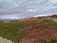 Konya Kadınhanı Pusat Köyü Milli Emlak'tan Satılık 952,77 m2 Tarla