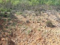 Konya Beyşehir Damlapınar Köyü Milli Emlak'tan Satılık 4.096,39 m2 Tarla