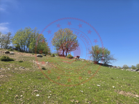 Sinop Durağan Kavaklı Köyü Milli Emlak'tan Satılık 1.494,20 m2 Tarla