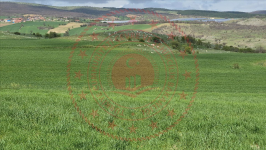 Çorum Merkez Güzelyurt Köyü Milli Emlak'tan Satılık 10.990,86 m2 Tarla