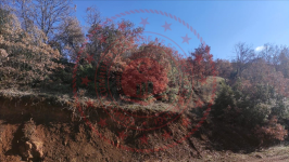 Isparta Yalvaç Özbayat - Harman Mahallesi Milli Emlak'tan Satılık 1.165,94 m2 Arsa