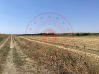 Edirne Uzunköprü Turnacı Köyü Milli Emlak'tan Satılık 3.542,40 m2 Tarla