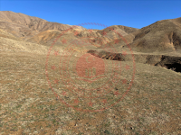 Bitlis Merkez Yolalan - Düz (Müşkünüs) Mahallesi Milli Emlak'tan Satılık 1.600,00 m2 Tarla