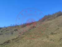 Giresun Doğankent Kozköy Köyü Milli Emlak'tan Satılık 10.003,33 m2 Tarla