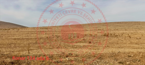 Konya Sarayönü Konar Köyü Milli Emlak'tan Satılık 11.589,80 m2 Tarla