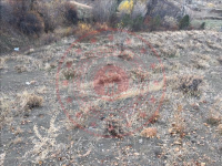 Erzincan Refahiye Doğandere - Sarıkoç Köyü Milli Emlak'tan Satılık 1.576,08 m2 Tarla