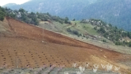 Mersin Toroslar Yavca Köyü Milli Emlak'tan Satılık 619,73 m2 Tarla