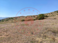 Sivas İmranlı Celaldamı Köyü Milli Emlak'tan Satılık 1.929,50 m2 Tarla