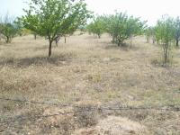 Konya Beyşehir Esence Kasabası Milli Emlak'tan Satılık 1.800,00 m2 Arsa