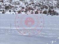 Kayseri Talas Akçakaya Mahallesi Milli Emlak'tan Satılık 875,90 m2 Tarla