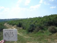 Kırklareli Merkez Çayırlı Köyü Milli Emlak'tan Satılık 4.525,08 m2 Tarla