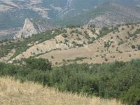 Amasya Merkez Musa Köyü Milli Emlak'tan Satılık 1.756,80 m2 Tarla