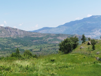 Artvin Ardanuç Ovacık Köyü Milli Emlak'tan Satılık 1.266,52 m2 Tarla