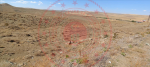 Ankara Bala Yaylalıözü Köyü Milli Emlak'tan Satılık 1.613,97 m2 Tarla