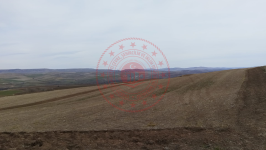 Sivas Yıldızeli Mumcuçiftliği Köyü Milli Emlak'tan Satılık 10.050,36 m2 Tarla