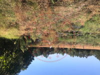 Çanakkale Yenice Karaaydın Köyü Milli Emlak'tan Satılık 1.642,95 m2 Tarla