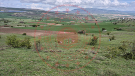Çorum Merkez Güzelyurt Köyü Milli Emlak'tan Satılık 1.034,74 m2 Tarla