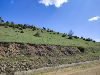 Amasya Merkez Yassıçal - Gölönü Mahallesi Milli Emlak'tan Satılık 4.344,88 m2 Tarla