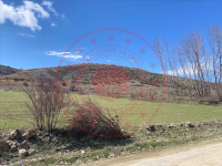 Tokat Artova Aşağıgüçlü Köyü Milli Emlak'tan Satılık 6.126,22 m2 Tarla